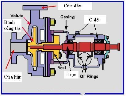 Cấu tạo chính của dòng máy bơm nước 3 pha