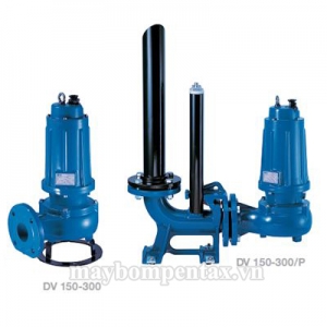 Catalogue máy bơm Pentax DV