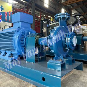 Máy bơm trục rời Pentax CA 100-200B