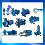 Máy bơm Pentax nào bán chạy nhất 2026