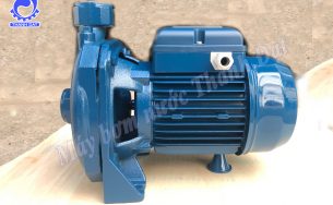 3 dòng máy bơm nước gia đình Pentax bán chạy nhất tại Thành Đạt